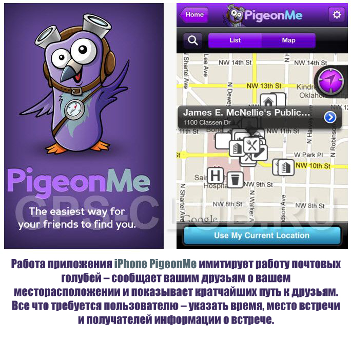 iPhone PigeonMe